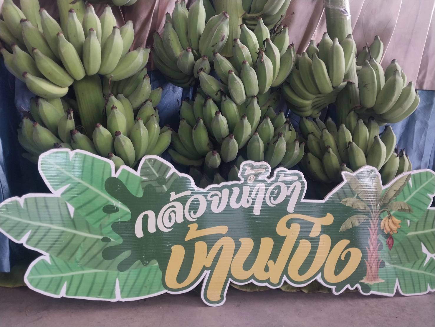title - ส.ป.ก. ร่วมติดตามรัฐมนตรีช่วยว่าการกระทรวงเกษตรและสหกรณ์ (นางสาวปิยะรัฐชย์ ติยะไพรัช) ลงพื้นที่ตรวจราชการในจังหวัดราชบุรี